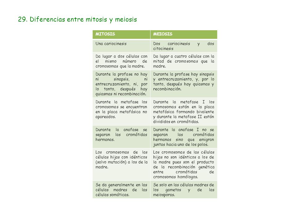 CARIOCINESIS Y CITOCINESIS PDF CARIOCINESIS Y CITOCINESIS PDF